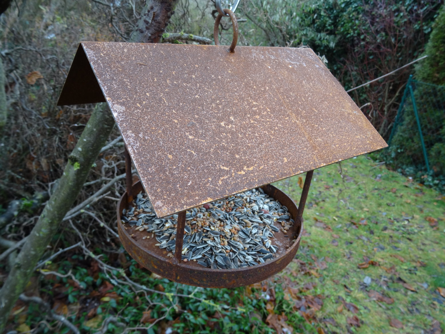 Winter Futter Metall Vogel Meisenknodel Rost Aus Aus